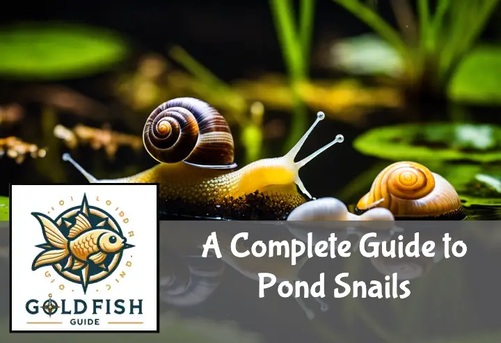 Variety of pond snails exploring a vibrant underwater ecosystem with lush aquatic plants.