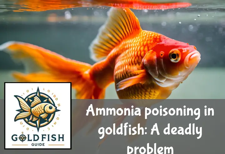 A distressed goldfish with red streaks swims in cloudy water, indicating poor tank conditions.