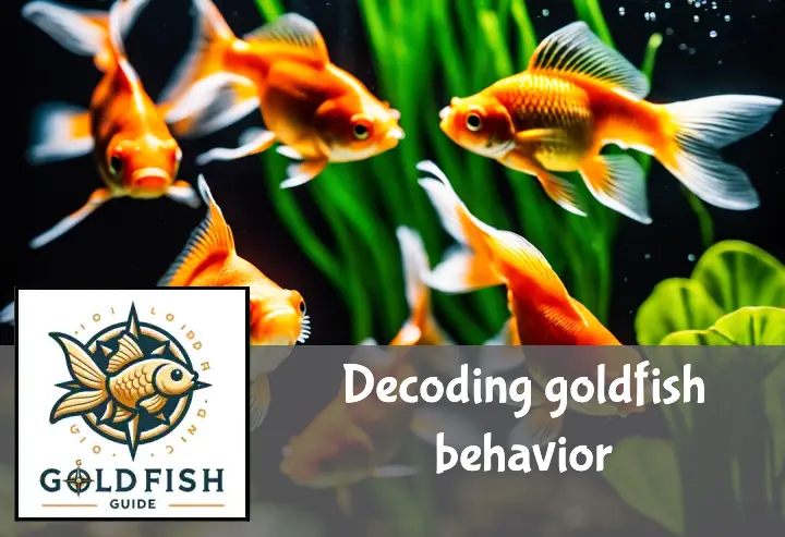 Goldfish exhibit schooling, foraging, and social interactions in a vibrant, plant-filled aquarium.