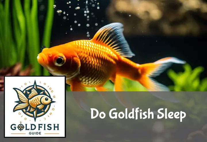 A tranquil goldfish rests near the bottom of a dim aquarium, surrounded by gently swaying aquatic plants.
