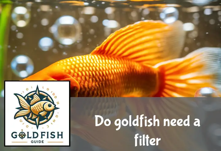 A goldfish swims in a clear aquarium with rising bubbles from an active filter, highlighting aquatic health.