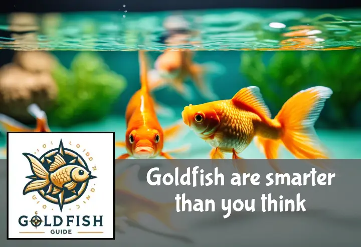 A goldfish skillfully navigates through an underwater obstacle course with hoops and tunnels.