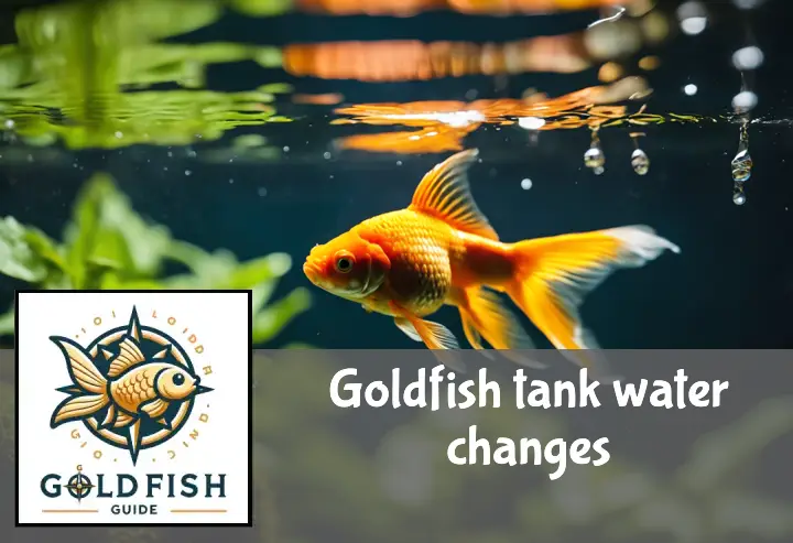 Clear water pours into a goldfish tank, displacing murky water, with a goldfish and swaying plants visible.