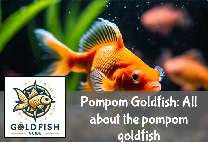 Pompom goldfish with fluffy nasal growths swims in a tank with lush plants and colorful pebbles.