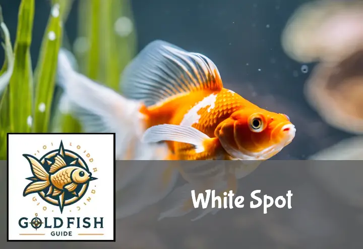 White Spot (Ich/Ick): Get rid of white spots on goldfish